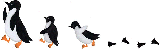 Penguins Stencil Example